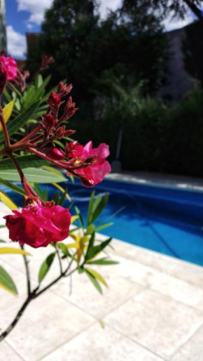Mariposas del Parque
